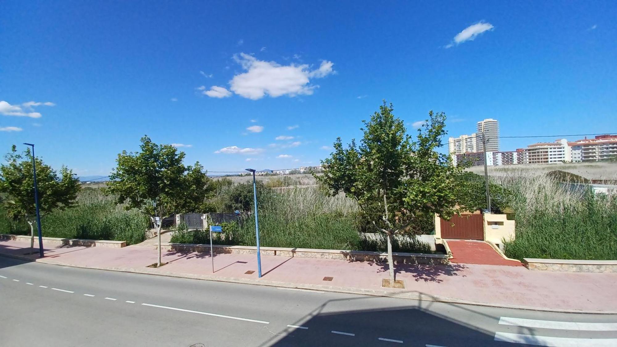 Apartamento Azahares Vista Parque Orangecosta Peñíscola Exterior foto